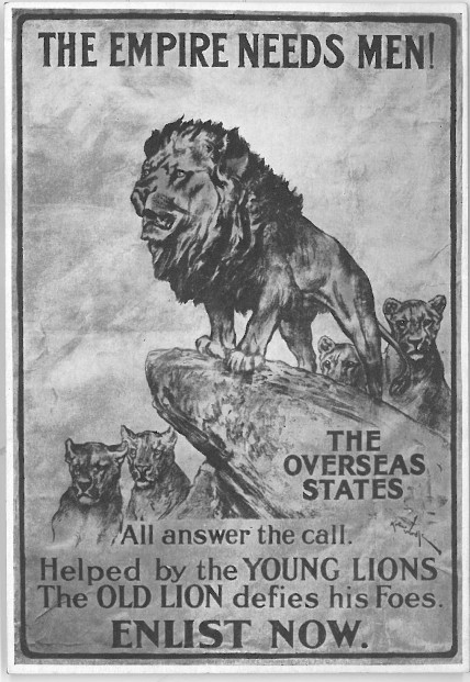“Young Lions” Postcard, ca. 1914